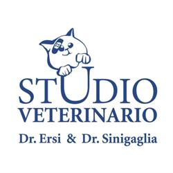 Studio Veterinario Ersi & Sinigaglia, Novegro orari di apertura