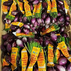 Centro Frutta Castiglione, Castiglione dei Pepoli orari di apertura