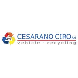 Cesarano Ciro, Cinisello Balsamo orari di apertura