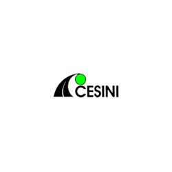 Cesini Due Aci Delegazione Casalmaggiore, orari di apertura