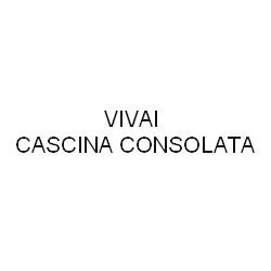 Vivai Cascina Consolata, Settimo Torinese orari di apertura