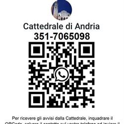 Chiesa Cattedrale, Andria orari di apertura