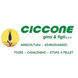 Ciccone Gino e Figli, San Demetrio ne' Vestini orari di apertura