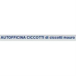 Autofficina Ciccotti Castrol Service, Osteria della Fontana orari di apertura