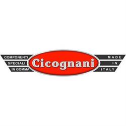 Cicognani SRL, Alfonsine orari di apertura