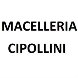 Macelleria Cipollini s.n.c., Cortona orari di apertura