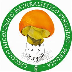 Circolo Micologico Perugino, Perugia orari di apertura
