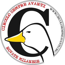 Circolo Sempre Avanti SRL, Novate Milanese orari di apertura