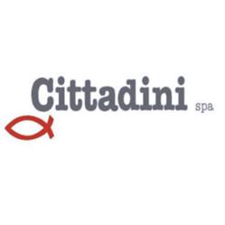Cittadini, Reti, Cucirini e Filati Tecnici, Paderno Franciacorta orari di apertura