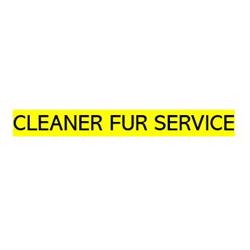 Cleaner Fur Service, Torino orari di apertura
