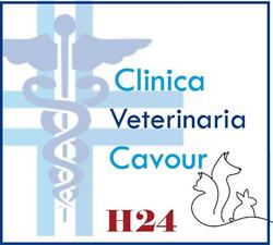 Clinica Veterinaria Cavour, Napoli orari di apertura