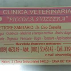Clinica Veterinaria Piccola Svizzera SNC, Cava de' Tirreni orari di apertura