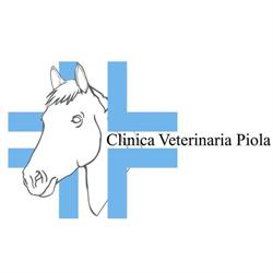 Clinica Veterinaria Piola Di Biglietti Giovanni e Garbagnati Barbara, Pozzuolo Martesana orari di apertura