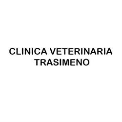 Clinica Veterinaria Trasimeno, Magione orari di apertura