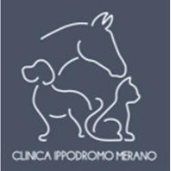 Clinica Veterinaria Ippodromo Merano, orari di apertura