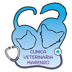 CLINICA VETERINARIA MARENGO, Alessandria orari di apertura