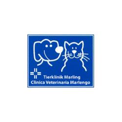Clinica Veterinaria Marlengo, orari di apertura