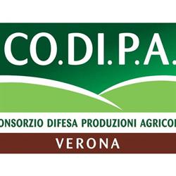 Co.di.pa., Verona orari di apertura