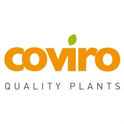Coviro, Cervia orari di apertura