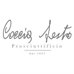 Coccia Sesto SRL, Viterbo orari di apertura