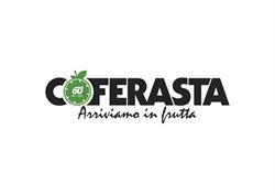 Coferasta S.p.a. Ferrara, S. Martino - Orari di apertura