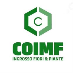 Coimf, Arezzo orari di apertura