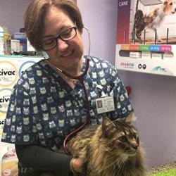 Colananni Dr.maria Pia Veterinario, Avezzano orari di apertura