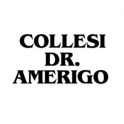 Collesi Dr. Amerigo, Falconara Marittima orari di apertura