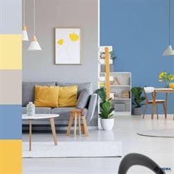 Colora SRL, Genova orari di apertura