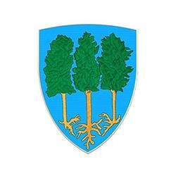 Comune, Radda in Chianti orari di apertura