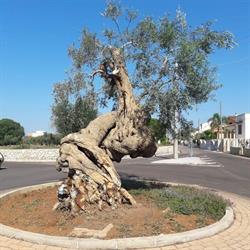 Comune, Giuggianello orari di apertura