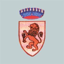 Comune, Radicondoli orari di apertura