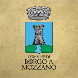 Comune, Borgo a Mozzano orari di apertura