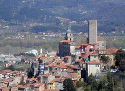 Comune Di Arcola, orari di apertura