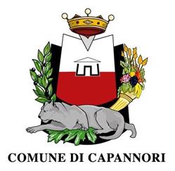 Comune Di Capannori, orari di apertura