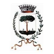 Comune Di Carpenedolo, orari di apertura