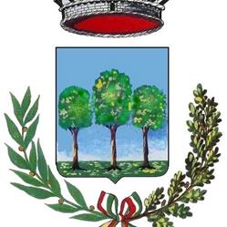Comune Di Carpineto Romano, orari di apertura