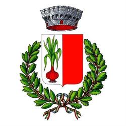Comune Di Certaldo, orari di apertura