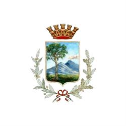 Comune Di Cercola, orari di apertura