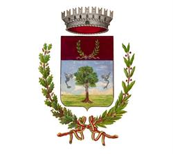 Comune Di Cesate, orari di apertura
