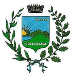 Comune Di Collecchio, orari di apertura
