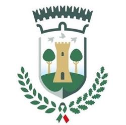 Comune Di Collesalvetti, orari di apertura