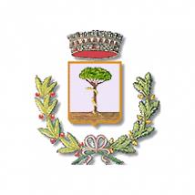 Comune Di Frattaminore, orari di apertura