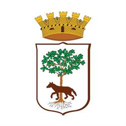 Comune Di Lecce, orari di apertura
