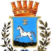 Comune Di Martina Franca, orari di apertura