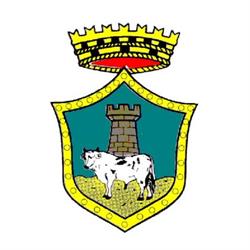 Comune Di Notaresco, orari di apertura