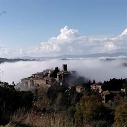 Comune Di Parrano, orari di apertura