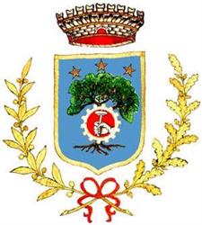 Comune Di S.Elia Fiumerapido, Sant'Elia Fiumerapido orari di apertura