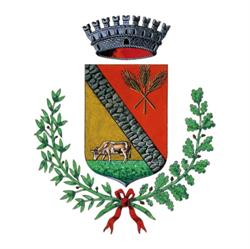 Comune Di Treppo Grande, orari di apertura