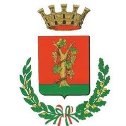 Comune Di Vignola, orari di apertura